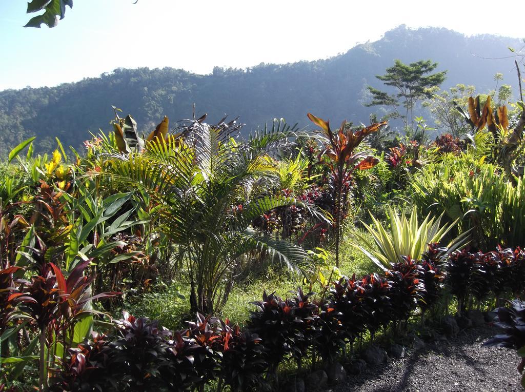 The Bukit Artha Bed and Breakfast Sidemen  Eksteriør billede