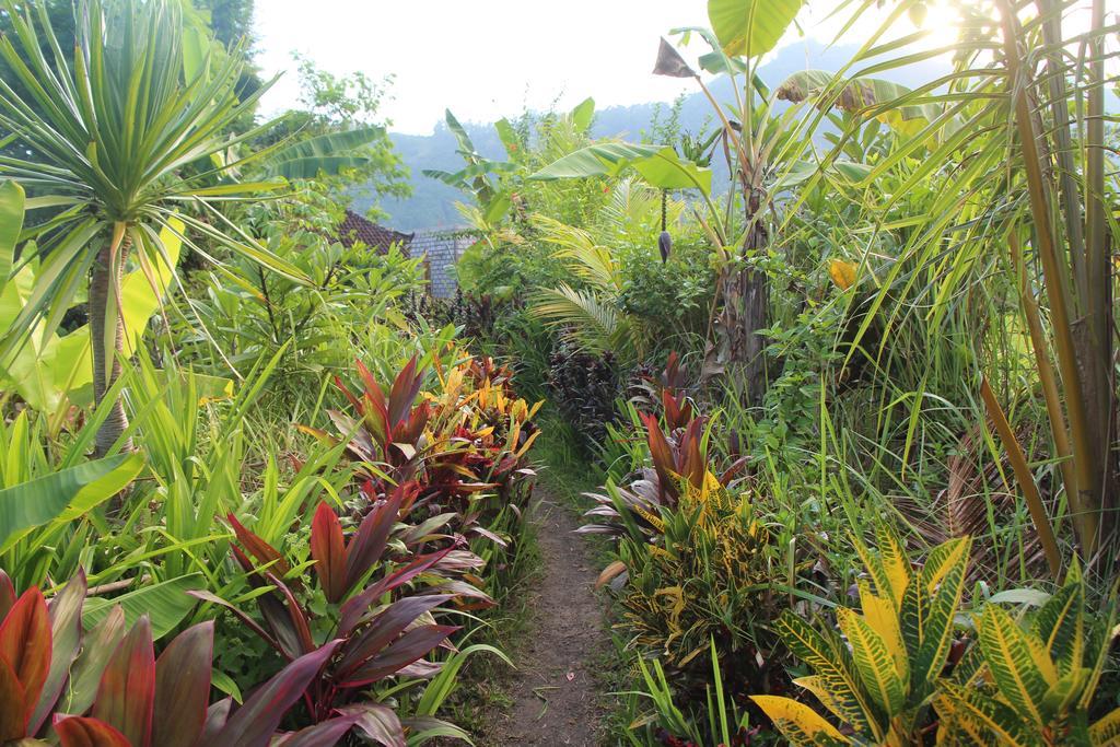 The Bukit Artha Bed and Breakfast Sidemen  Eksteriør billede