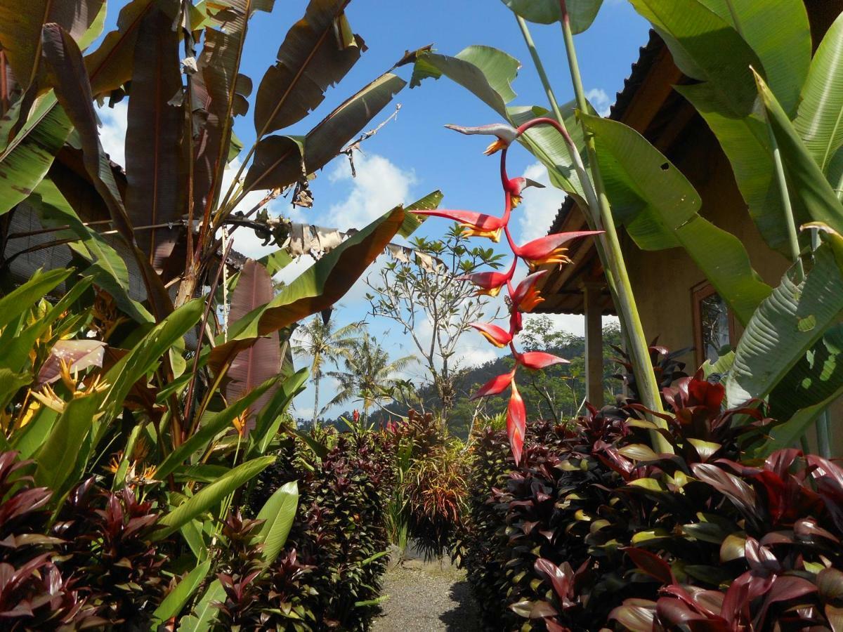 The Bukit Artha Bed and Breakfast Sidemen  Eksteriør billede