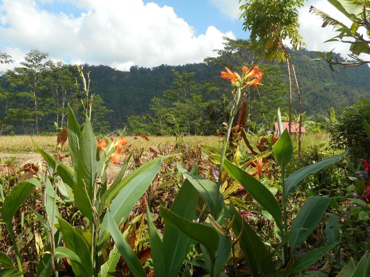 The Bukit Artha Bed and Breakfast Sidemen  Eksteriør billede