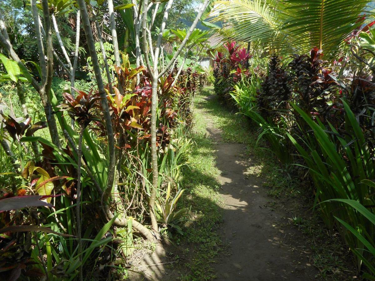 The Bukit Artha Bed and Breakfast Sidemen  Eksteriør billede