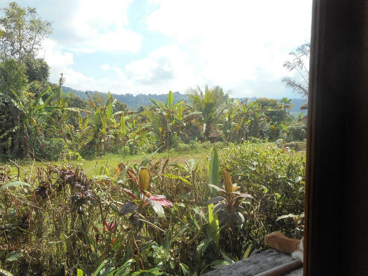 The Bukit Artha Bed and Breakfast Sidemen  Eksteriør billede