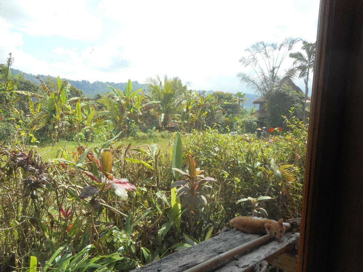 The Bukit Artha Bed and Breakfast Sidemen  Eksteriør billede