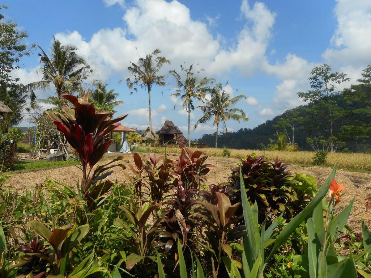 The Bukit Artha Bed and Breakfast Sidemen  Eksteriør billede