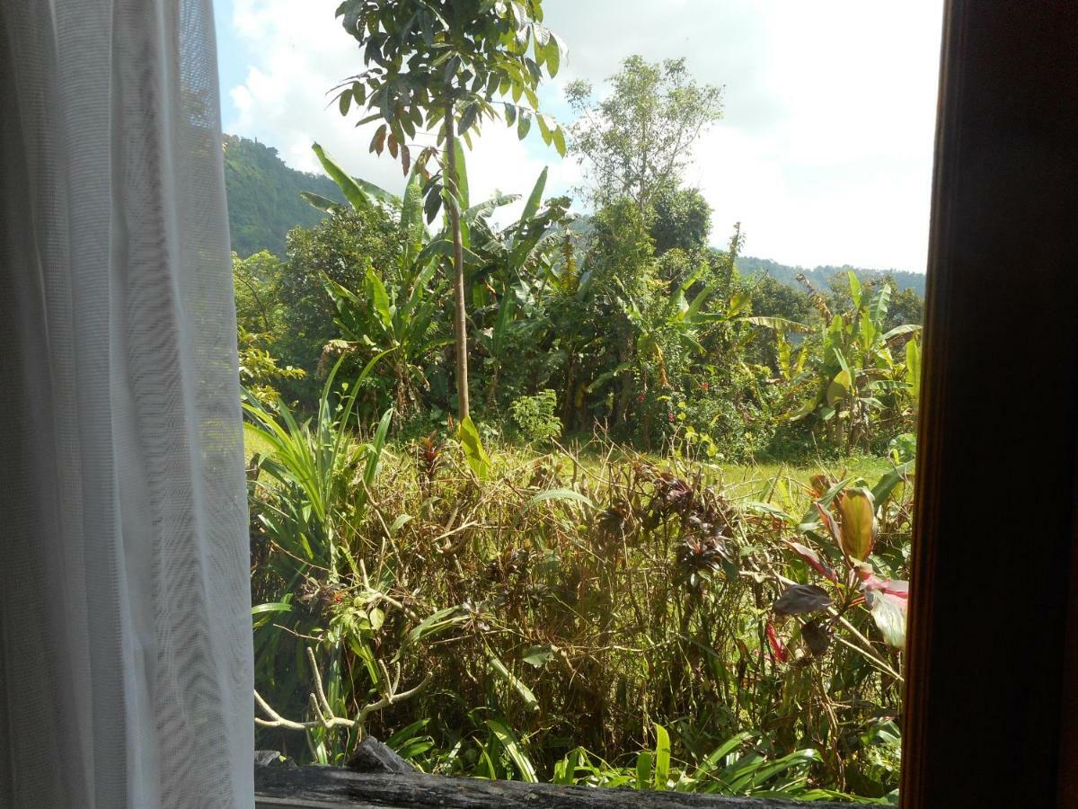 The Bukit Artha Bed and Breakfast Sidemen  Eksteriør billede